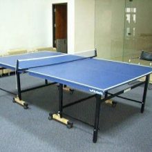 Asa-Garden-table-tennis