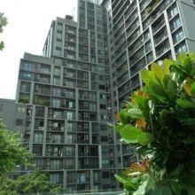 the-seed-mingle-condo-bangkok-596dbf32b8a1bc5be90012d4_full