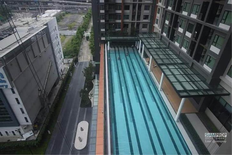 Life asoke condominium large swimming pool