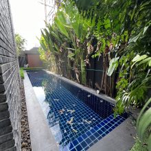 S__44785700