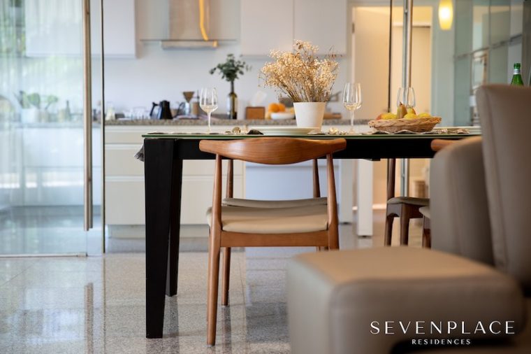 SVP-24 copy