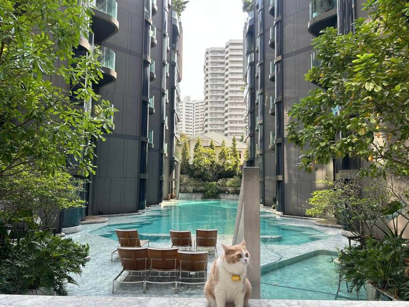 Ashton Residence 41 · 2 bedroom · 77 SqM · Floor 5 · Phrom Phong, Bangkok · Photo 1 Ashton Residence 41 2-bedroom Condo in Phrom Phong, Bangkok – photo 1