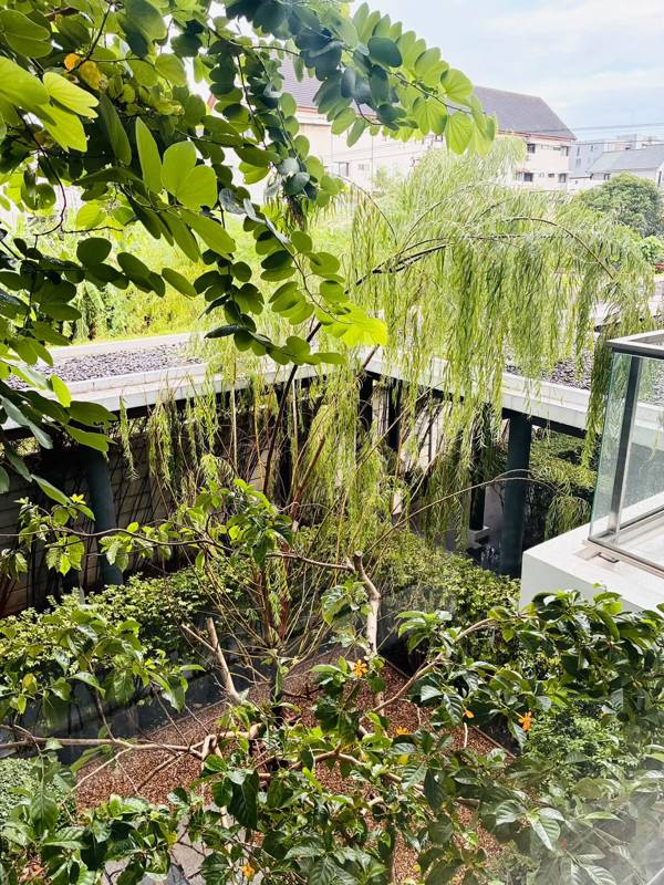 D-50 private apartment · 1 bedroom · 45 SqM · Photo 2 D-50 private apartment 1-bedroom Condo – photo 2