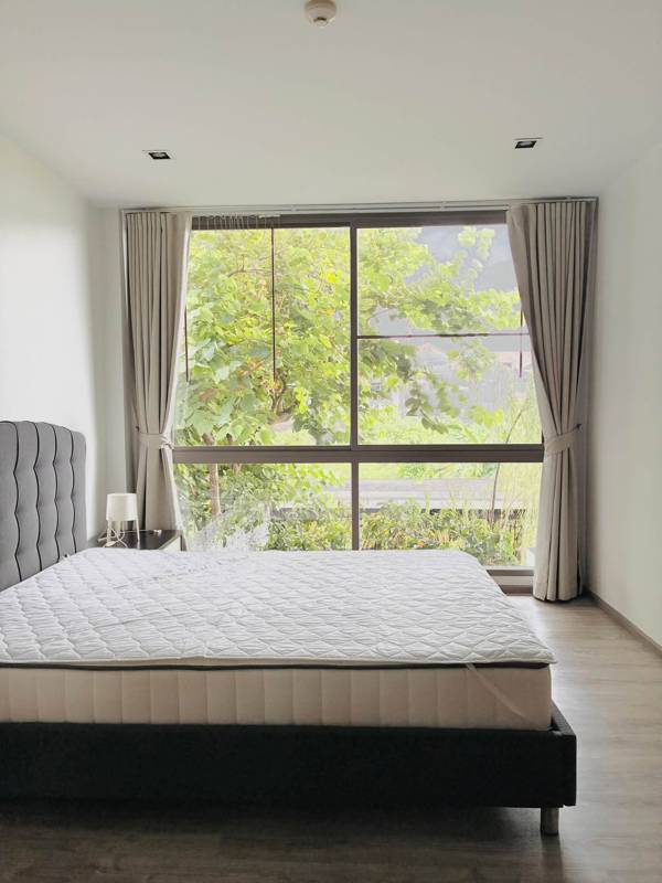 D-50 private apartment · 1 bedroom · 45 SqM · Photo 4 D-50 private apartment 1-bedroom Condo – photo 4