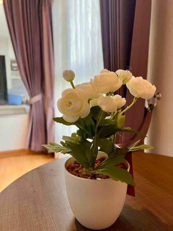 The Parkland Taksin-Thapra · 1 bedroom · 35 SqM · Floor 1 · Thonburi, Bangkok · Photo 2 The Parkland Taksin-Thapra 1-bedroom Condo in Thonburi, Bangkok – photo 2