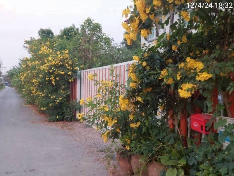 2-Storey Pet-Friendly House for Rent in Min Buri · 2 bedroom · 480 SqM · Floor 1 · Photo 5 2-Storey Pet-Friendly House for Rent in Min Buri 2-bedroom Detached House – photo 5