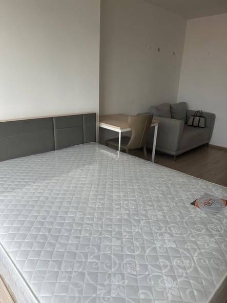 Ideo O2 · 1 bedroom · 26 SqM · Floor 10 · Bang Na, Bangkok · Photo 1 Ideo O2 1-bedroom Condo in Bang Na, Bangkok – photo 1