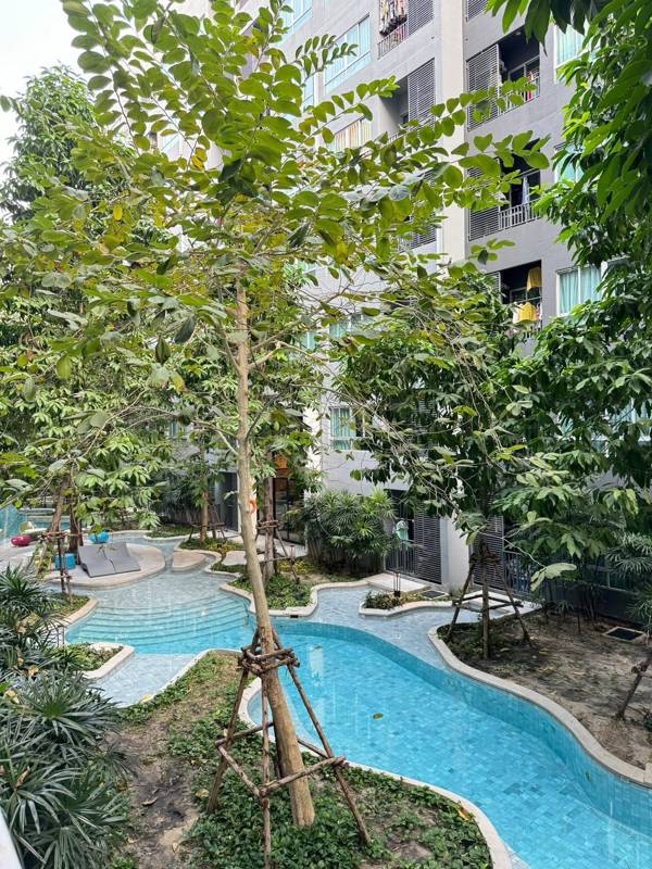 Elio Del Moss Phaholyothin 34 · 34.9 SqM · Floor 2 · Chatuchak, Bangkok · Photo 5 Elio Del Moss Phaholyothin 34 Condo in Chatuchak, Bangkok – photo 5