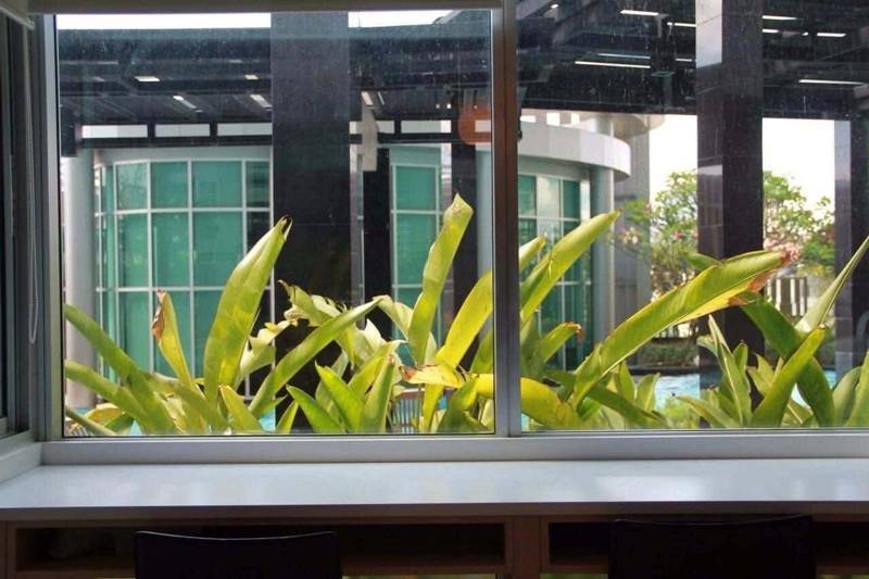 Rhythm Ratchada · 1 bedroom · 47 SqM · Floor 5 · Ratchada, Bangkok · Photo 3 Rhythm Ratchada 1-bedroom Condo in Ratchada, Bangkok – photo 3