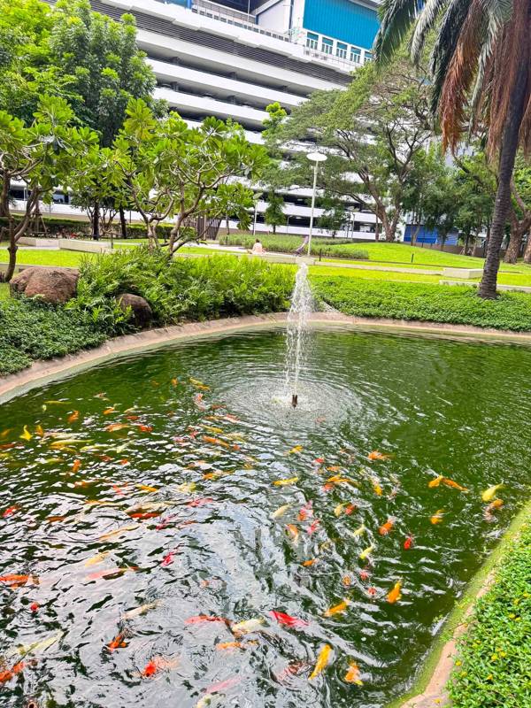 THE LINE Phahonyothin Park · 1 bedroom · 25 SqM · Floor 29 · Chatuchak, Bangkok · Photo 4 THE LINE Phahonyothin Park 1-bedroom Condo in Chatuchak, Bangkok – photo 4