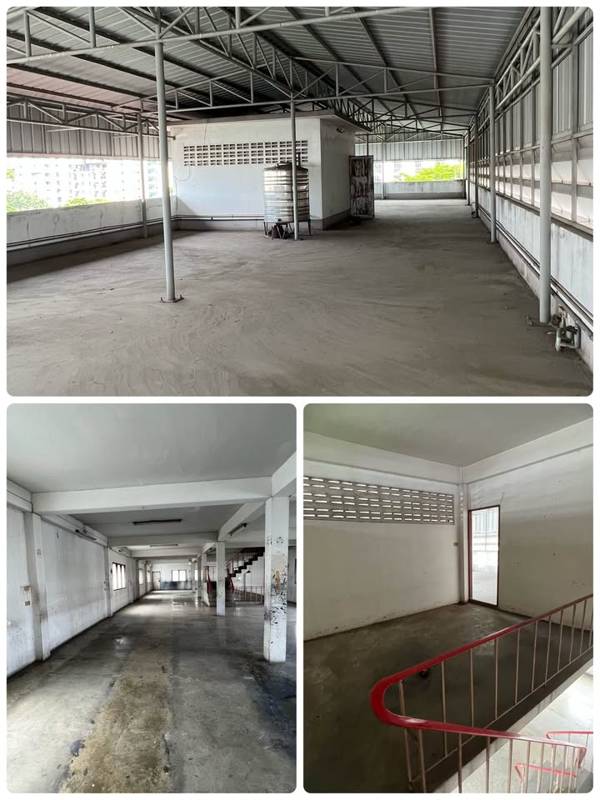 Standalone 4-Storey Building - Udom Suk 42 / Bangna-Trad 19 · 1500 SqM · Bang Na, Bangkok · Photo 4 Standalone 4-Storey Building - Udom Suk 42 / Bangna-Trad 19 Commercial Building in Bang Na, Bangkok – photo 4