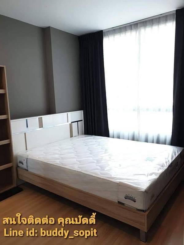 Artemis Sukhumvit 77 · 1 bedroom · 29 SqM · Floor 9 · Suan Luang, Bangkok · Photo 1 Artemis Sukhumvit 77 1-bedroom Condo in Suan Luang, Bangkok – photo 1