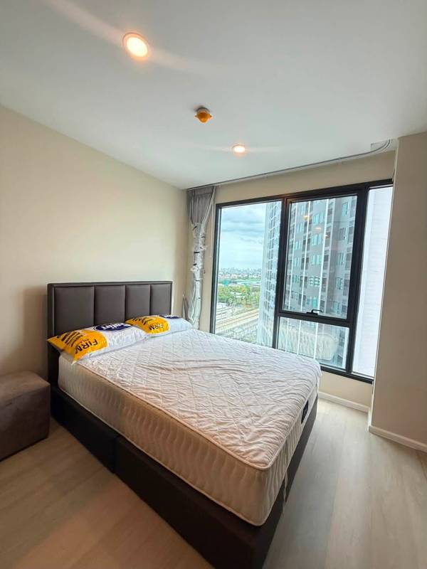 CIELA Sripatum · 1 bedroom · 27 SqM · Chatuchak, Bangkok · Photo 1 CIELA Sripatum 1-bedroom Condo in Chatuchak, Bangkok – photo 1