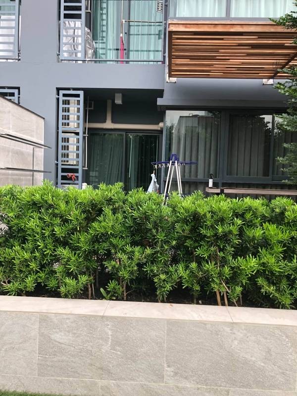 Ideo Sukhumvit 93 · 1 bedroom · 45 SqM · Bang Chak, Bangkok · Photo 3 Ideo Sukhumvit 93 1-bedroom Condo in Bang Chak, Bangkok – photo 3