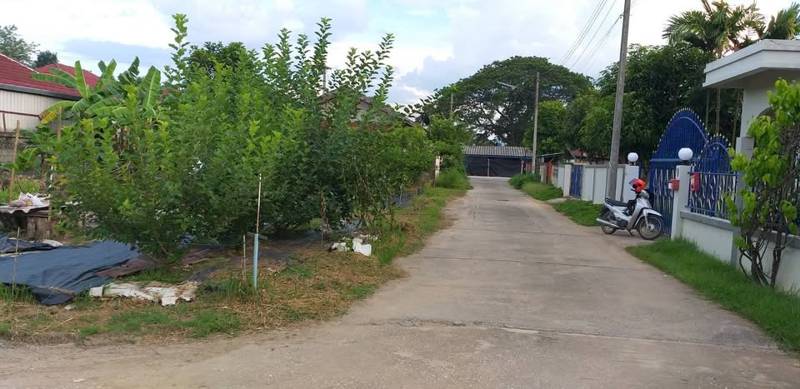 Fruit Tree Land Plot in Mae Rim, Chiang Mai · 352 SqM · Photo 5 Fruit Tree Land Plot in Mae Rim, Chiang Mai Land – photo 5