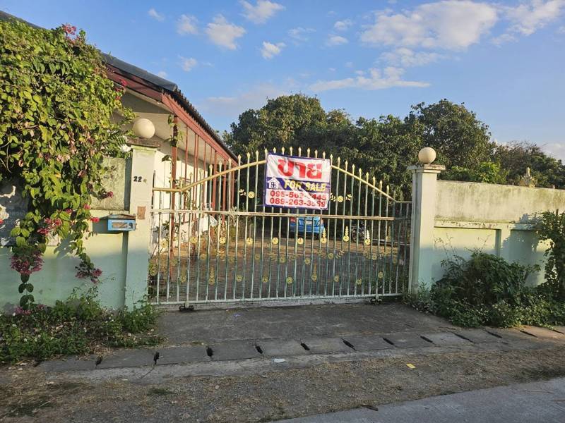 Flood-Free 3-Bedroom House with Land in Hang Dong, Chiang Mai · 3 bedroom · 832 SqM · Photo 2 Flood-Free 3-Bedroom House with Land in Hang Dong, Chiang Mai 3-bedroom Land – photo 2
