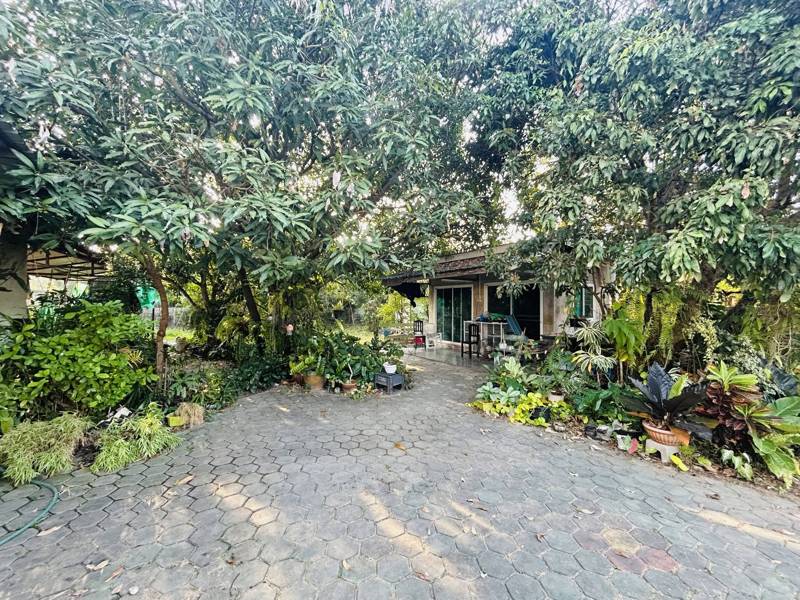Flood-Free 3-Bedroom House with Land in Hang Dong, Chiang Mai · 3 bedroom · 832 SqM · Photo 3 Flood-Free 3-Bedroom House with Land in Hang Dong, Chiang Mai 3-bedroom Land – photo 3