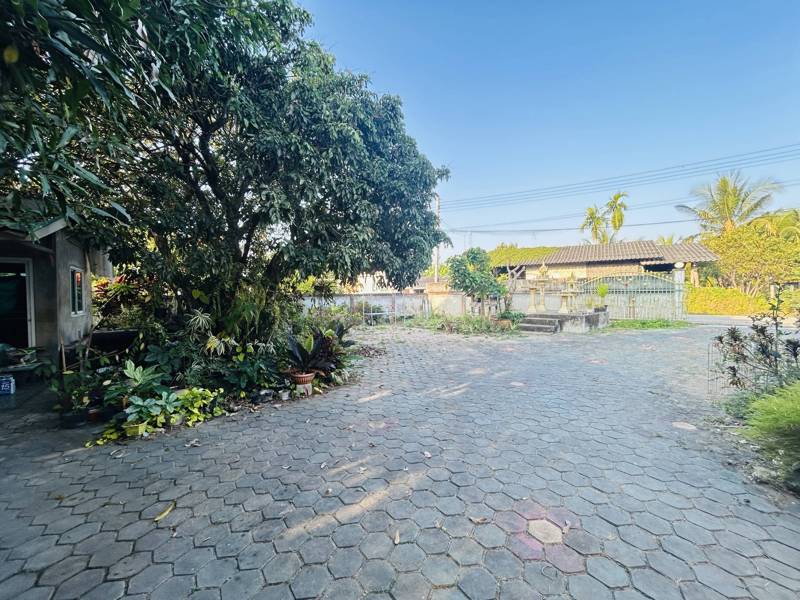 Flood-Free 3-Bedroom House with Land in Hang Dong, Chiang Mai · 3 bedroom · 832 SqM · Photo 4 Flood-Free 3-Bedroom House with Land in Hang Dong, Chiang Mai 3-bedroom Land – photo 4