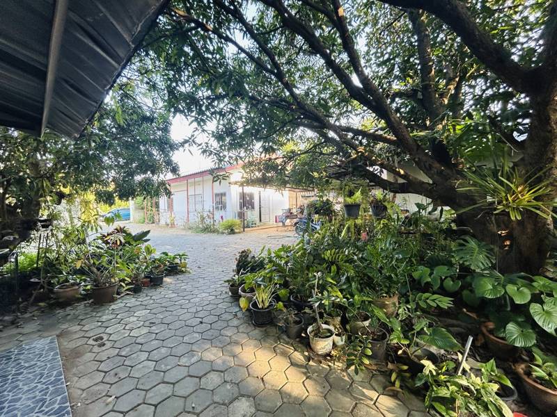 Flood-Free 3-Bedroom House with Land in Hang Dong, Chiang Mai · 3 bedroom · 832 SqM · Photo 5 Flood-Free 3-Bedroom House with Land in Hang Dong, Chiang Mai 3-bedroom Land – photo 5