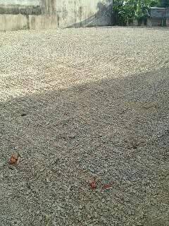 East-Facing Land Plot on Soi On Nut 20 · 636 SqM · Suan Luang, Bangkok · Photo 4 East-Facing Land Plot on Soi On Nut 20 Land in Suan Luang, Bangkok – photo 4